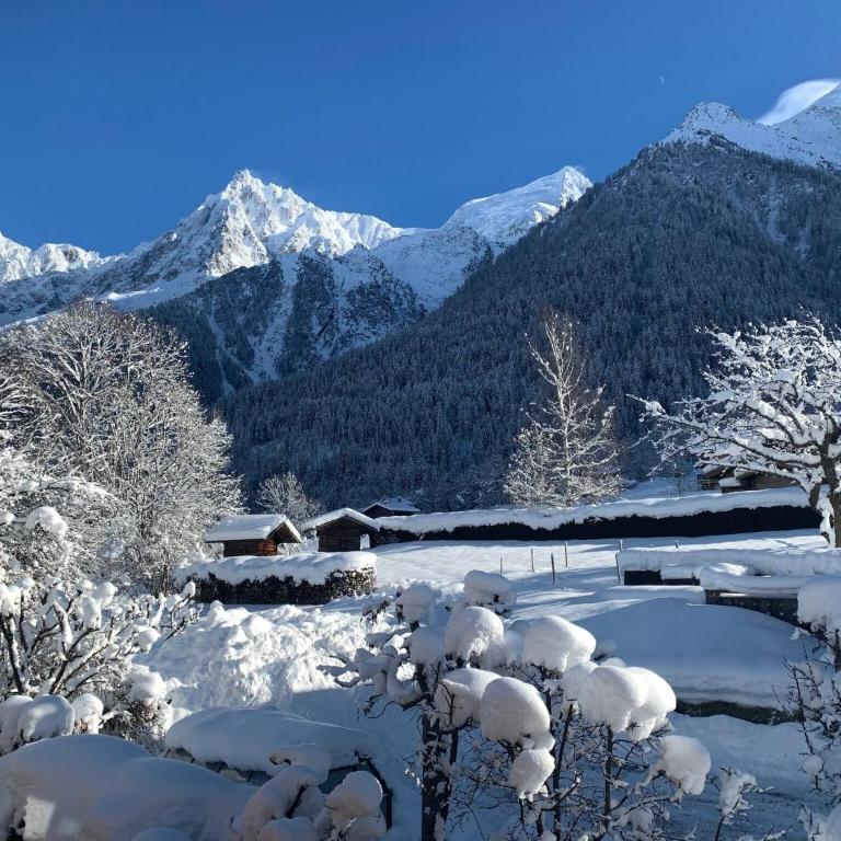 Appartement Yoga - Vues Chaîne du Mont-Blanc - Calme - Espace Yoga Spacieux - Appartement 1 Chambre - 1