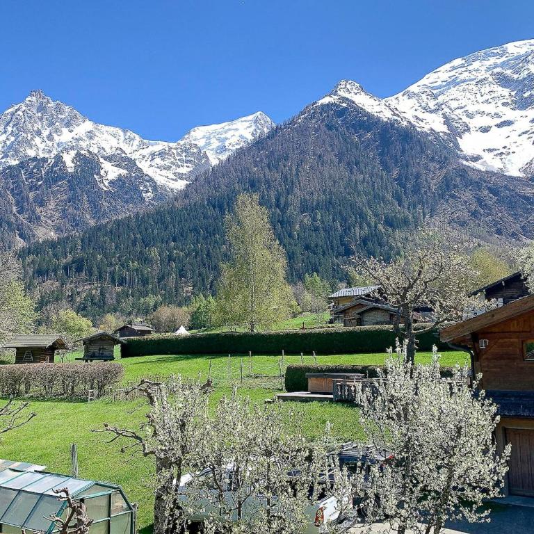 Appartement Yoga - Vues Chaîne du Mont-Blanc - Calme - Espace Yoga Spacieux - Appartement 1 Chambre - 18