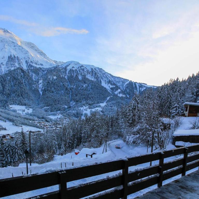 The Historic Chalet Les Allognes Mont-Blanc views - Chalet 3 Chambres - 26