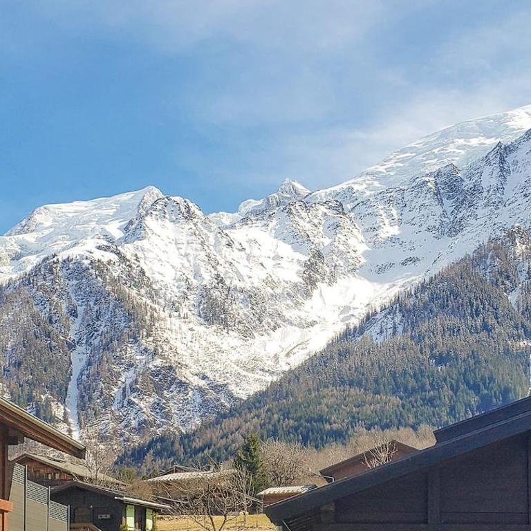Lilas - Awesome view of the Mont-Blanc Range - Appartement 1 Chambre - 11