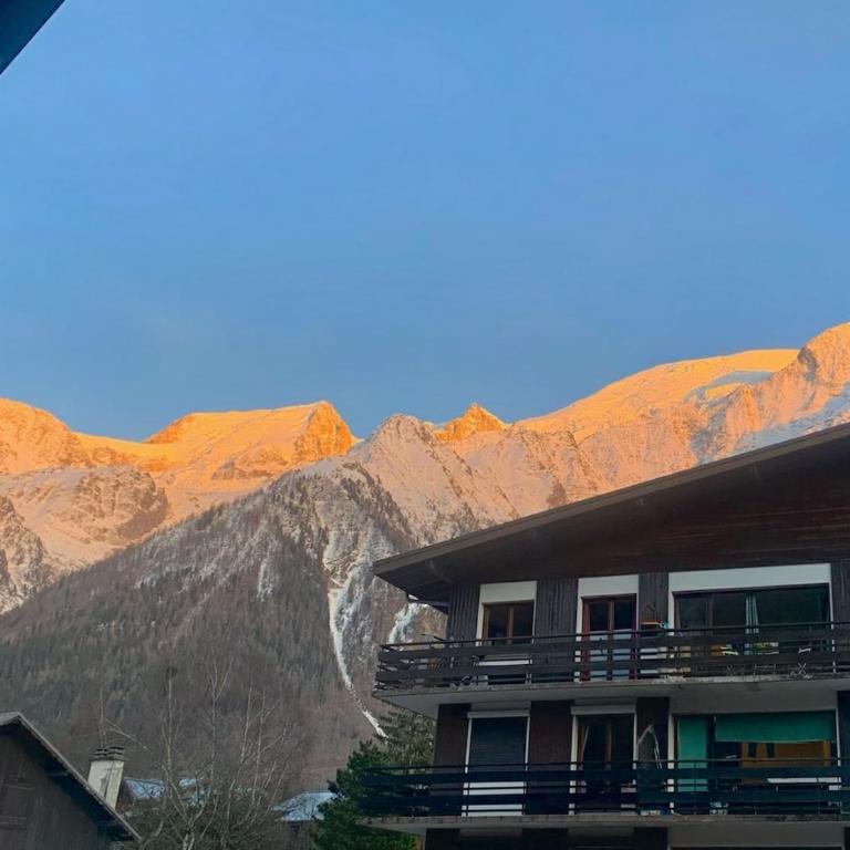 Les Dryades - Rénové - Balcon avec vue Mt Blanc - Appartement - 4