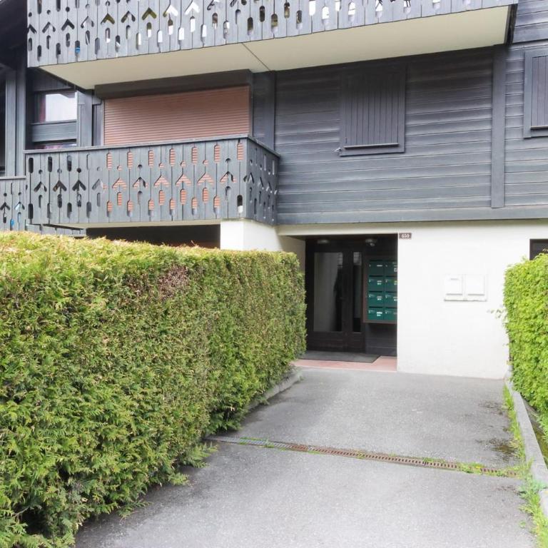 Les Dryades - Rénové - Balcon avec vue Mt Blanc - Appartement - 21