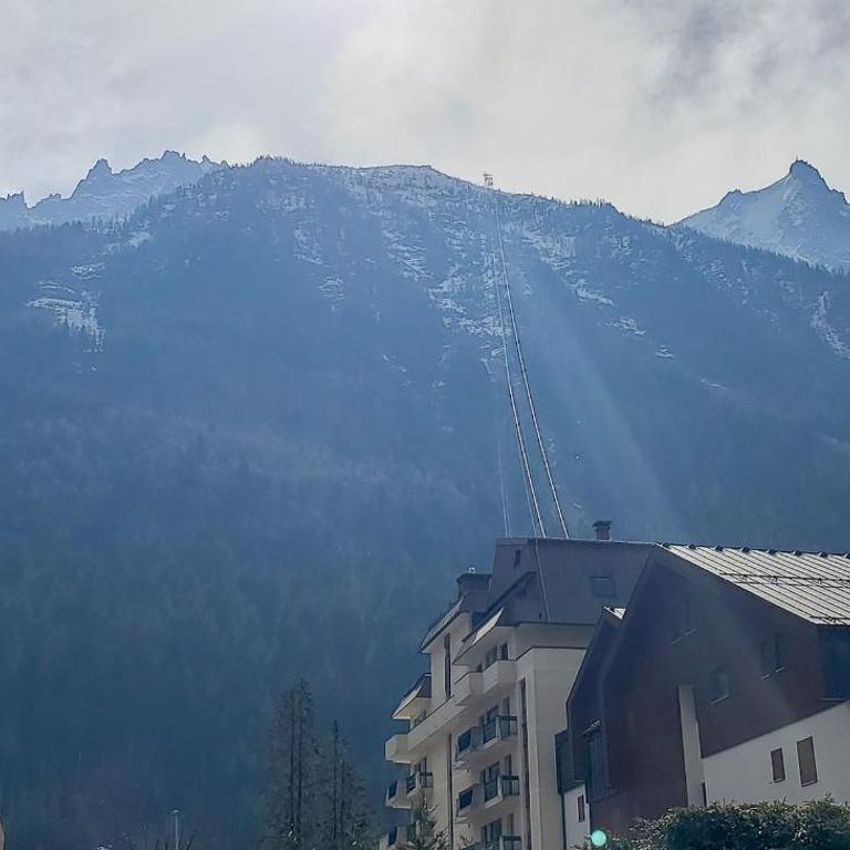 Chemin du Sapi - Private Garden - Center of Cham - MontBlanc Views - Apartamento de 2 dormitorios - 9