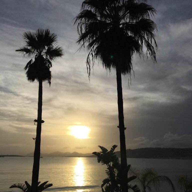 Vue Mer Juan les Pins - Appartement - Vue sur Mer - 17