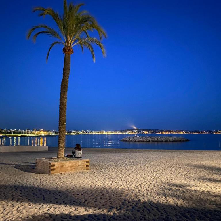 Vue Mer Juan les Pins - Appartement - Vue sur Mer - 19