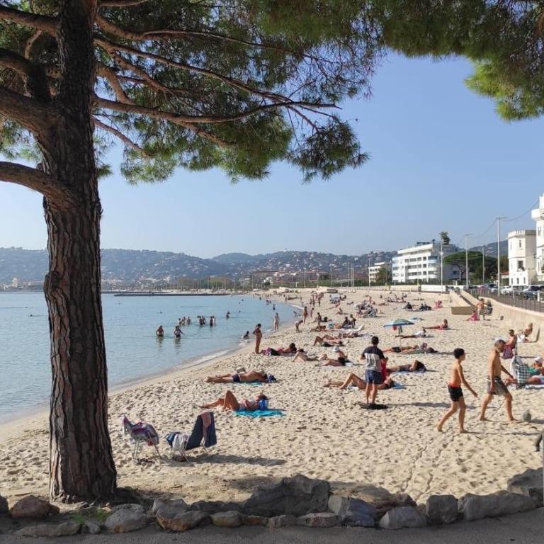 Vue Mer Juan les Pins - Appartement - Vue sur Mer - 20