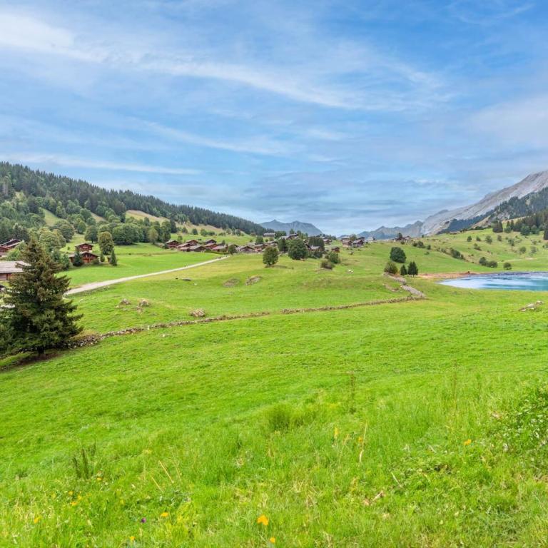 SmartStay - Chalet Felix aux Confins - Chalet - 90