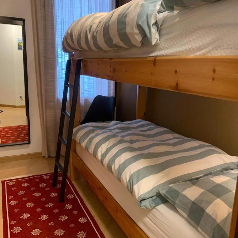 SPINALE casa in centro, arrivi con gli sci! SANIFICAZIONE A VAPORE - Appartamento con Vista Giardino - 39