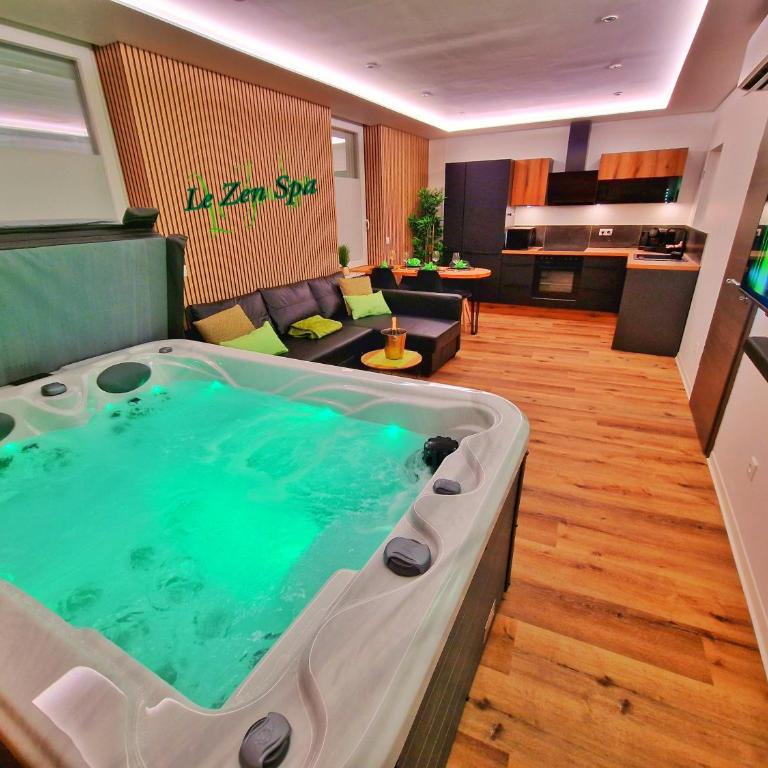 ZEN SPA-4 Pers-Jacuzzi-Parking-Clim-Colmar - Appartement 1 Chambre - 1