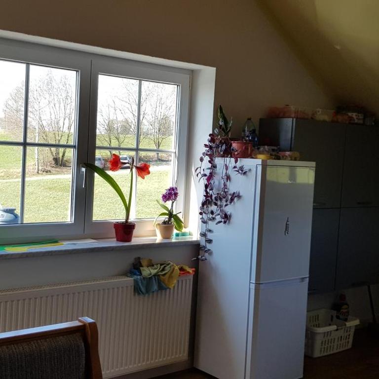 Alpenblick - Three-Bedroom Apartment - 50