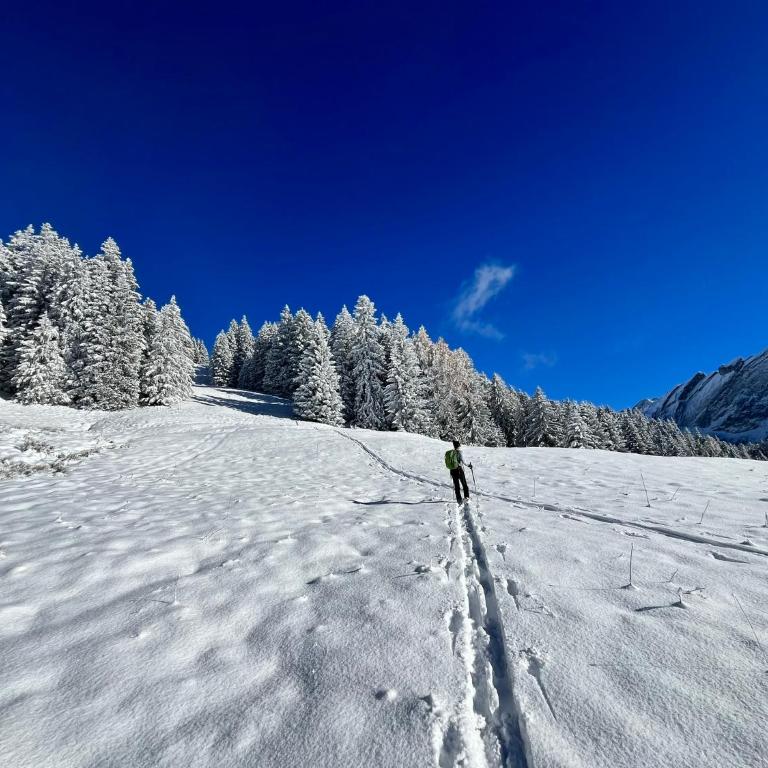 THE ALPINE STUDIO by the ski slopes & lake Frience 3pax - Apartment mit Blick auf die Berge - 40