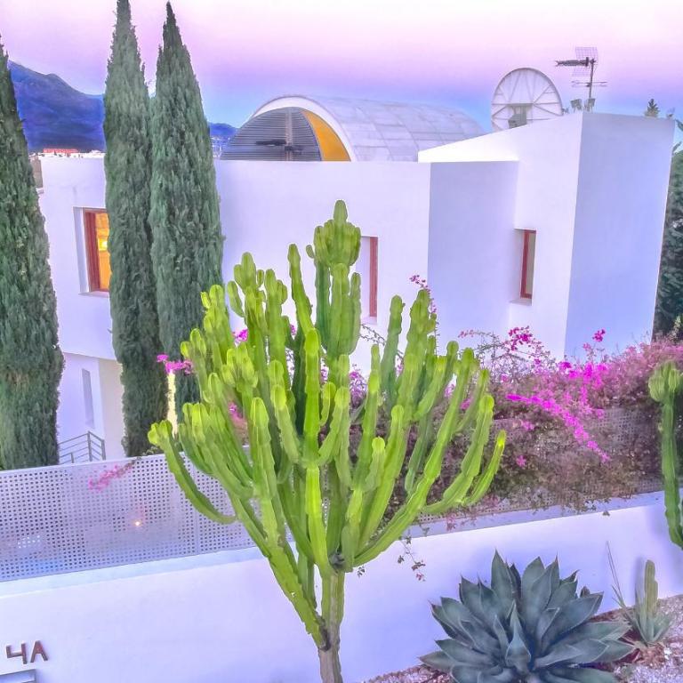 Villa White Nueva Andalucia - Villa Deluxe - 74