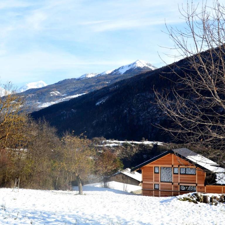Chalet neuf, Jacuzzi, piscine privée mai-sept, pétanque, proche Paradiski - Chalet - 50