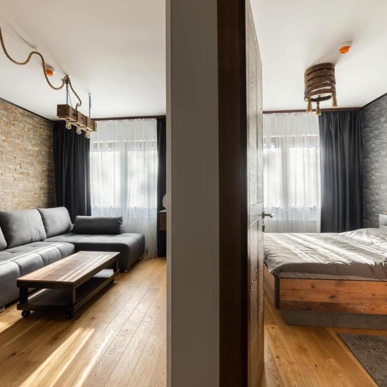 Vidik Dream Kopaonik - Apartman sa 1 Spavaćom Sobom - 10
