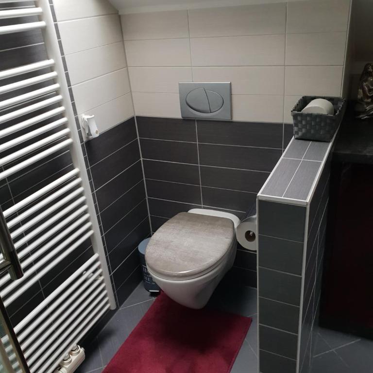 Alpenloft Theresia - Apartment mit 1 Schlafzimmer - 27
