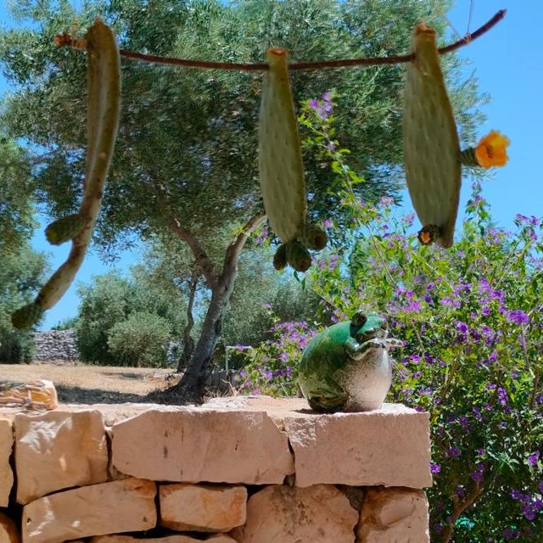 Trullo la perla di pietra - Villa with Private Pool - 52