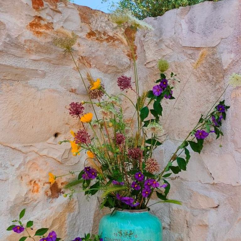 Trullo la perla di pietra - Villa with Private Pool - 53