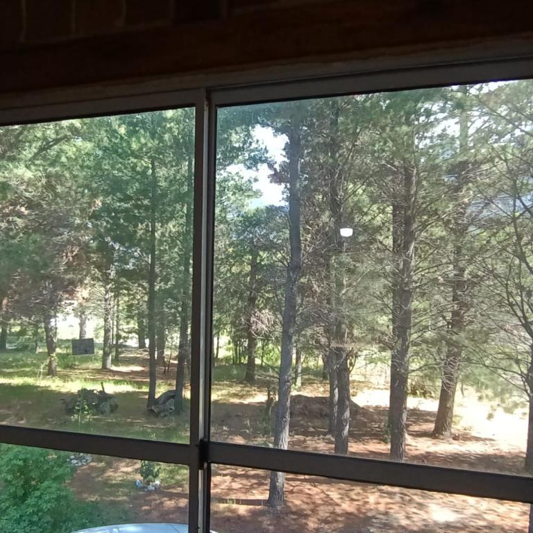 El Bungalow de Raúl - One-Bedroom House - 10