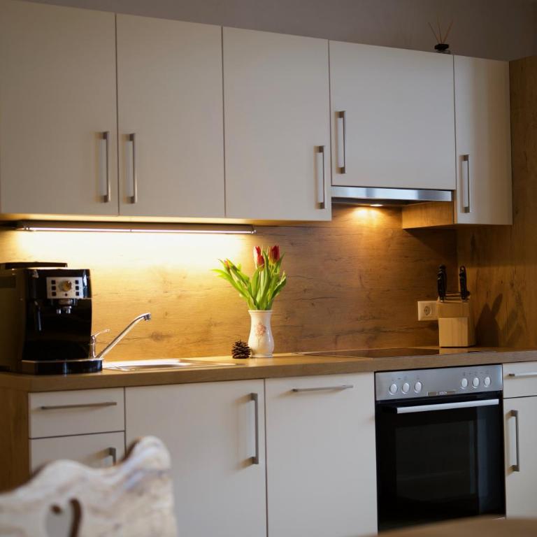 Das Kleinarl - Apartamento de 1 dormitorio - 28