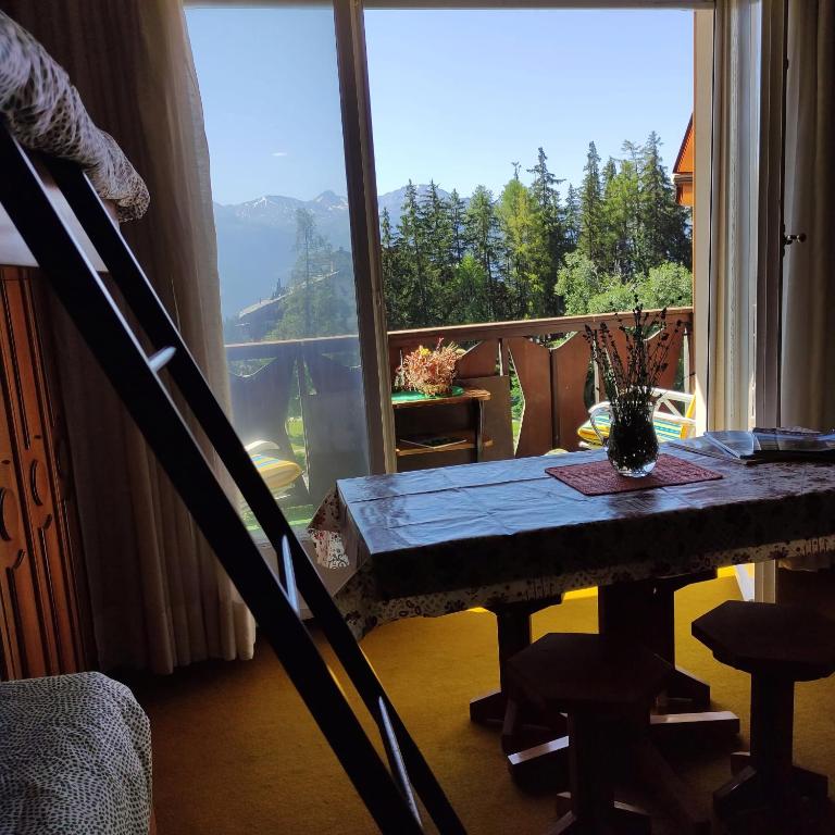 Bellevue Crans-Montana - Appartement 1 Chambre - 18