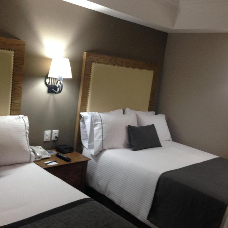 Historico Central Hotel - Standard Double Room with Two Double Beds - 2