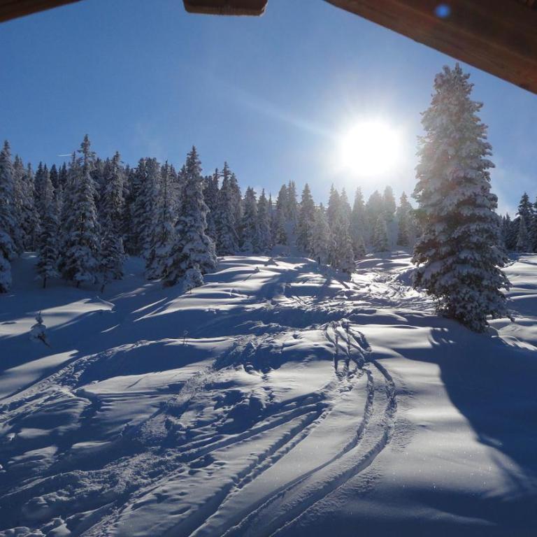 Skihütten LANG auf 1700 m in Hochkrimml, Zillertal Arena - Apartment mit 2 Schlafzimmern und Balkon - 14