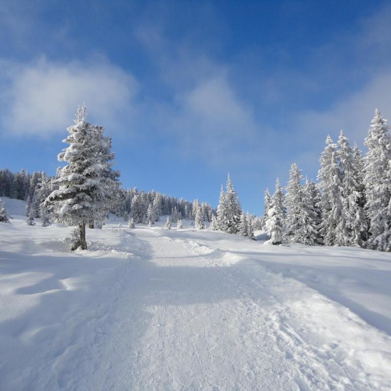 Skihütten LANG auf 1700 m in Hochkrimml, Zillertal Arena - Apartment mit 2 Schlafzimmern und Balkon - 16