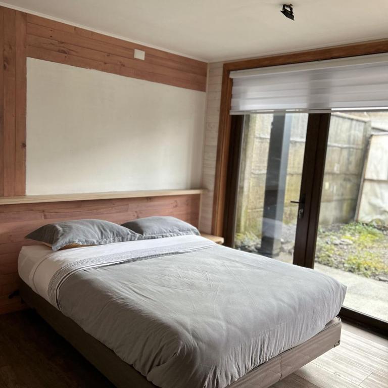 QUELEN AUSTRAL - Suite - 1