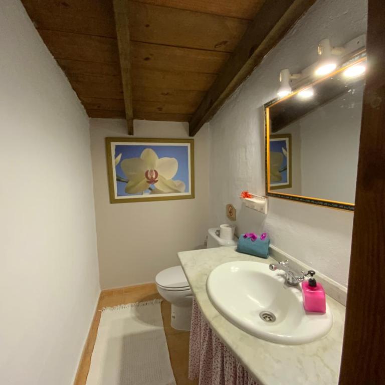 Casas ALBERTO TELEWORKING - Casa - 15