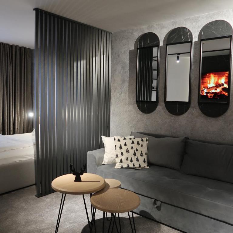 Apartman 105 - Aparthotel Vučko Jahorina private host - One-Bedroom Apartment - 3