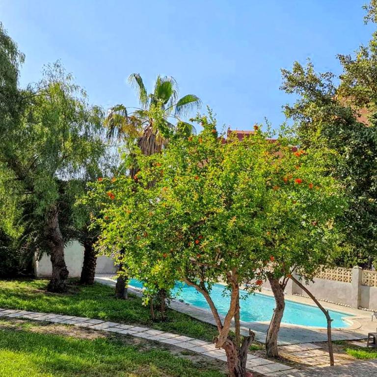 House with exclusive pool and garden 7 min walk from the beach and the center - Casa - 8