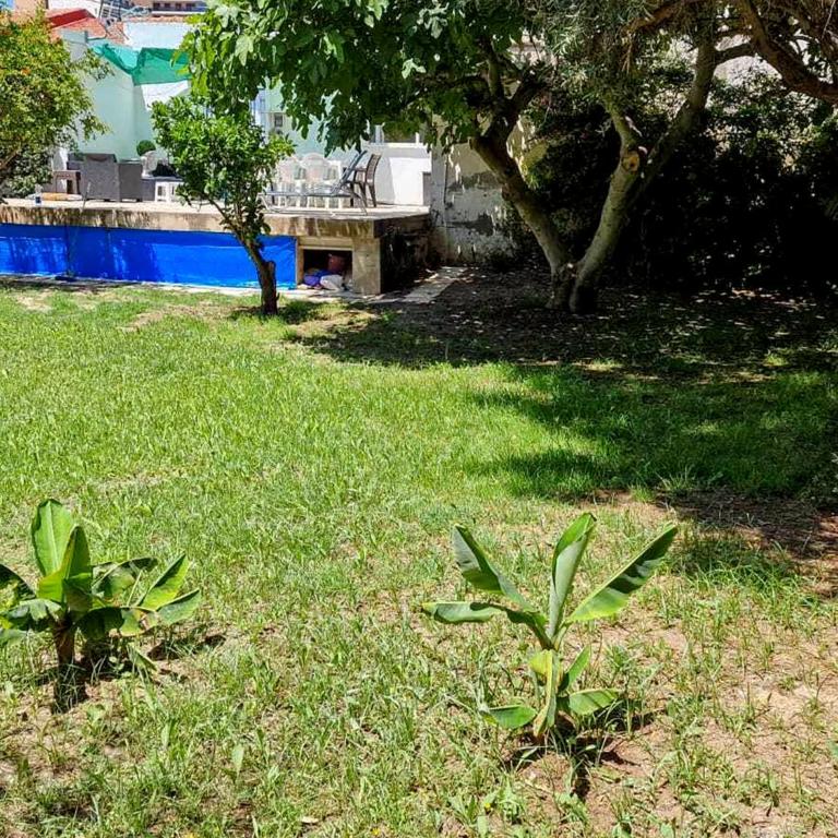 House with exclusive pool and garden 7 min walk from the beach and the center - Casa - 19