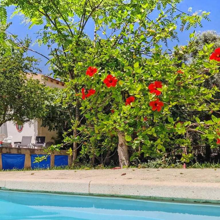 House with exclusive pool and garden 7 min walk from the beach and the center - Casa - 17