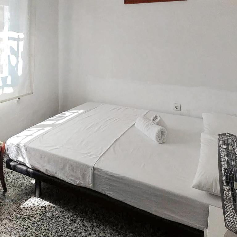 House with exclusive pool and garden 7 min walk from the beach and the center - Casa - 46