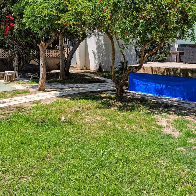 House with exclusive pool and garden 7 min walk from the beach and the center - Casa - 18