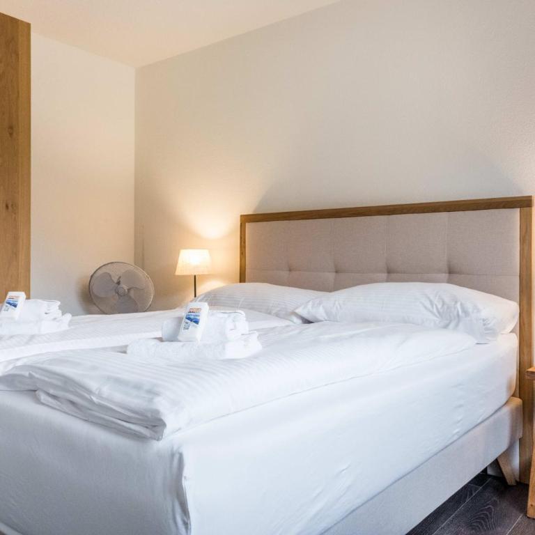 Apartment Alpeglöggli - GRIWA RENT AG - Appartamento con 3 Camere da Letto - 19