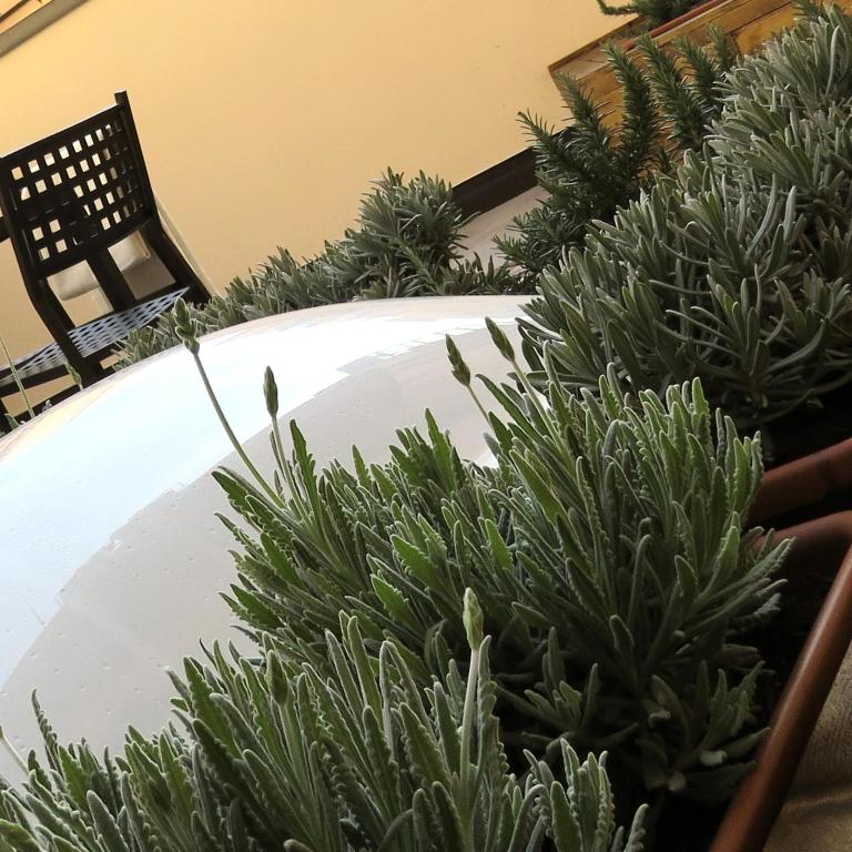 8 Colonne Apartments - Appartamento con Terrazza - 5