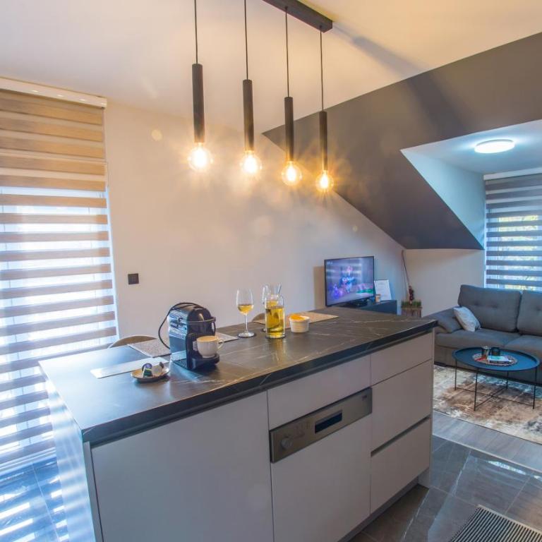 Maxim Apartments - Apartment with Balcony - 16