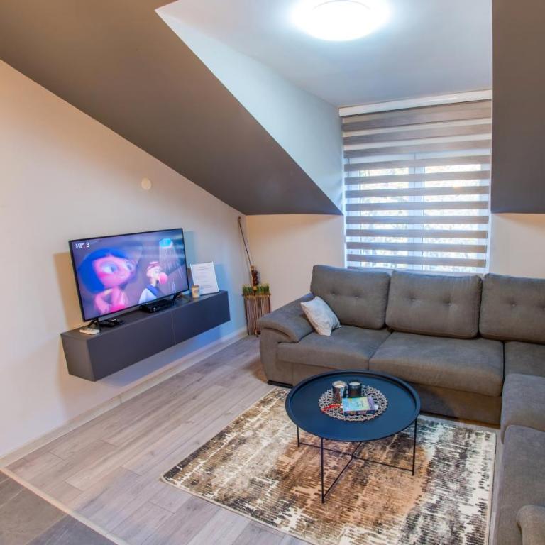 Maxim Apartments - Apartment with Balcony - 11