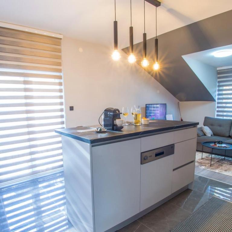 Maxim Apartments - Apartment with Balcony - 7