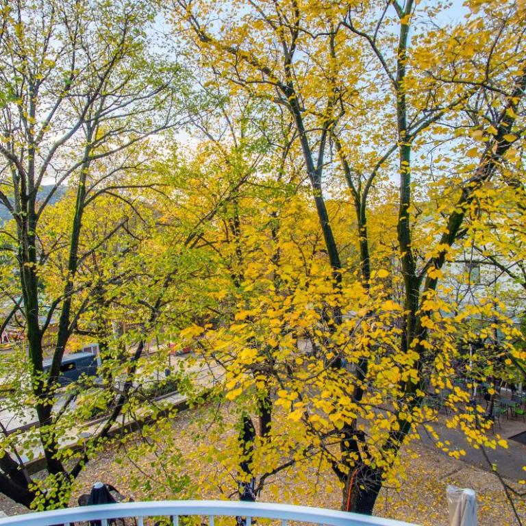 Maxim Apartments - Apartment with Balcony - 20