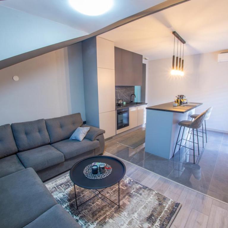 Maxim Apartments - Apartment with Balcony - 1