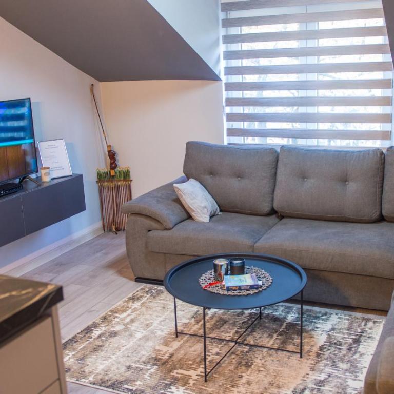 Maxim Apartments - Apartment with Balcony - 31