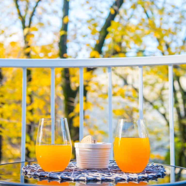 Maxim Apartments - Apartment with Balcony - 38