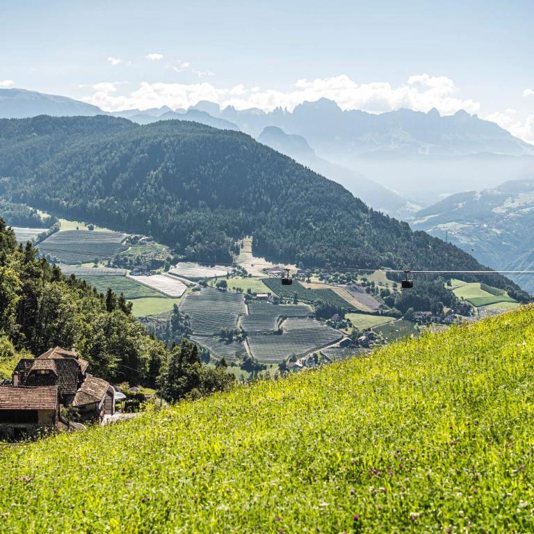 Exclusive Chalet Grumer 700 sqm - Villa - 14