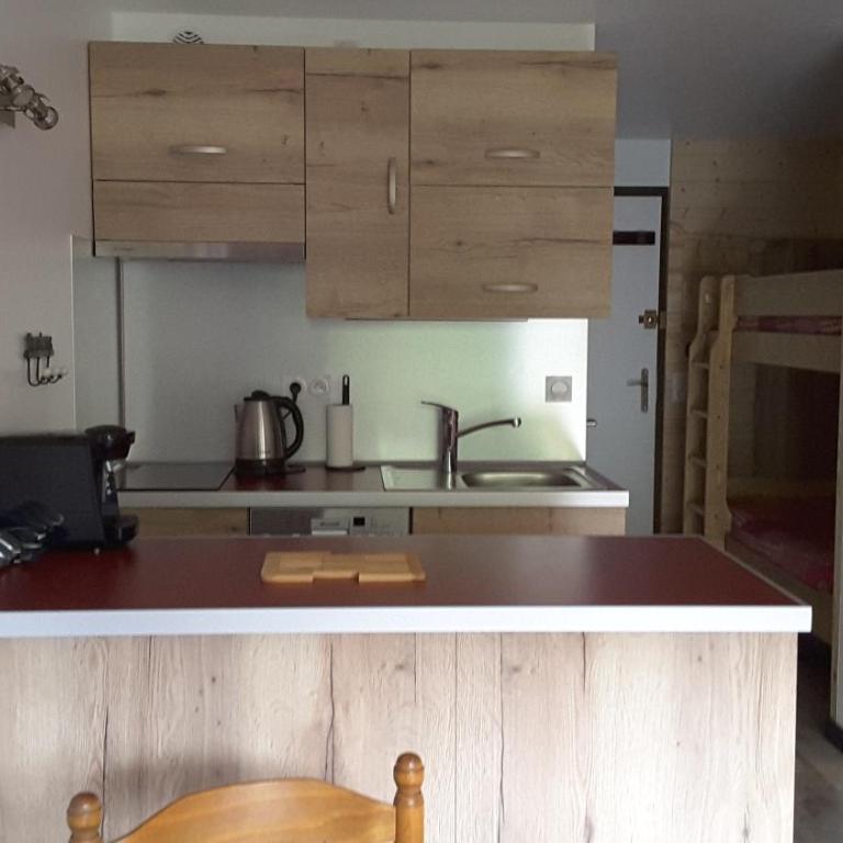 Studio douillet aux deux Alpes - Appartamento con 1 Camera da Letto - 6
