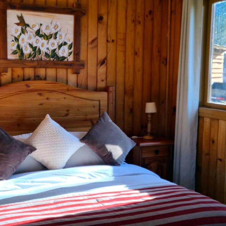 Cabañas Mapulauquen - Casa de 4 dormitorios - 1