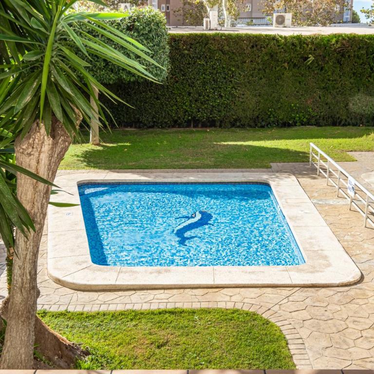 Albatros Ground Floor 1-4 Apartment Levante Beach - Apartment - 6