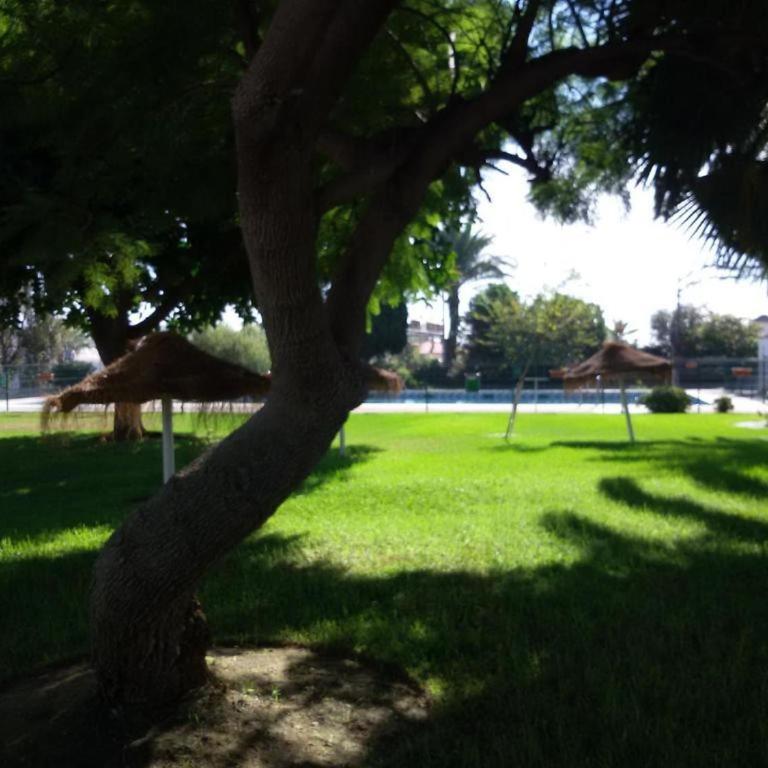 Solpor de SteraMflats Benalmadena - One-Bedroom Apartment - 18