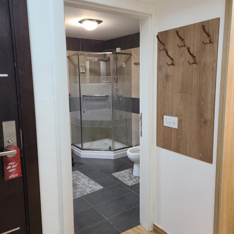 Apartman B 8 - Lapčević u zgradi MUJEN LUX, Kopaonik - One-Bedroom Apartment - 13